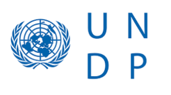 UNDP